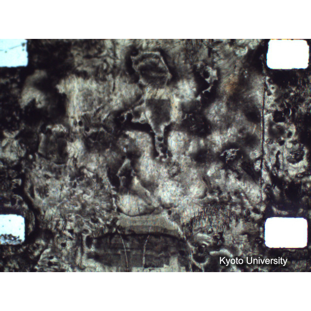 [ 1-1] 矢代日吉神社田楽（第一回）. [静止画像群4, 219～570枚目.] (265)