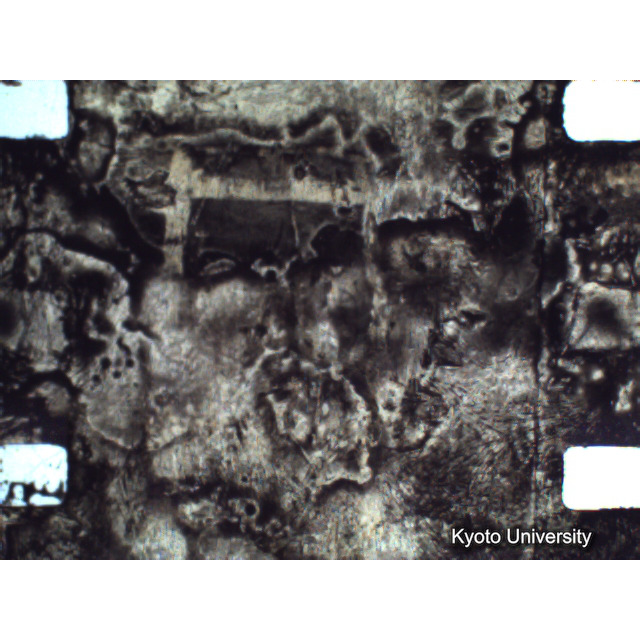 [ 1-1] 矢代日吉神社田楽（第一回）. [静止画像群4, 219～570枚目.] (267)