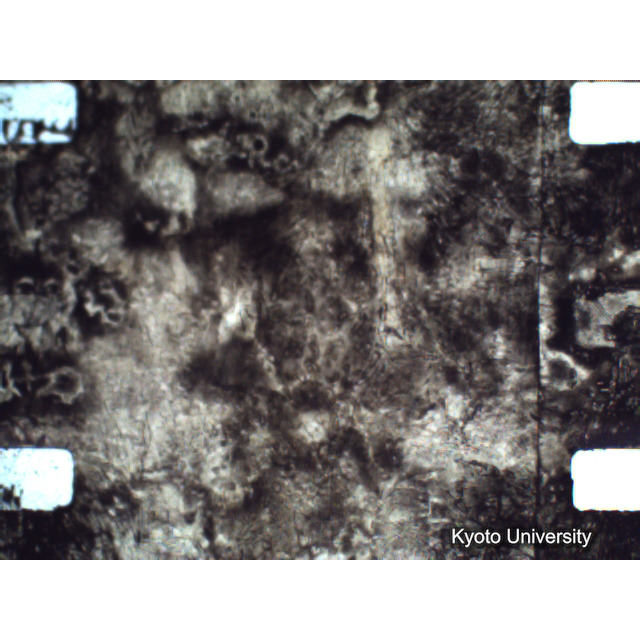 [ 1-1] 矢代日吉神社田楽（第一回）. [静止画像群4, 219～570枚目.] (269)