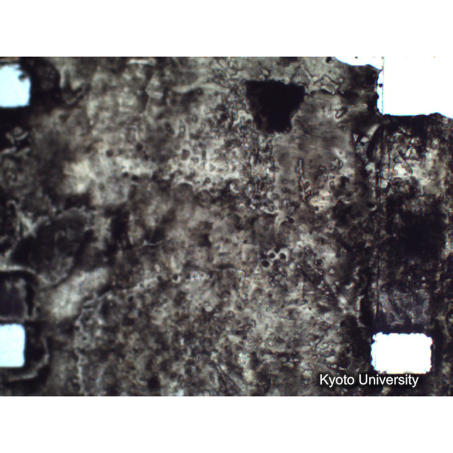 [ 1-1] 矢代日吉神社田楽（第一回）. [静止画像群4, 219～570枚目.] (271)