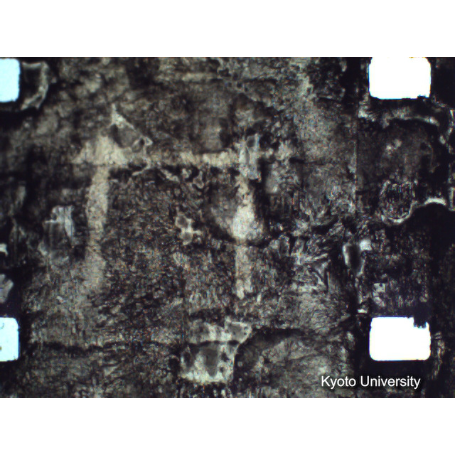 [ 1-1] 矢代日吉神社田楽（第一回）. [静止画像群4, 219～570枚目.] (276)