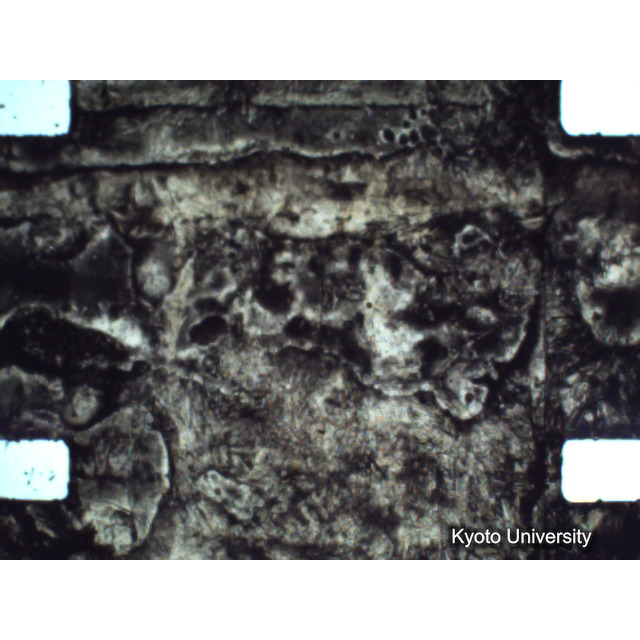 [ 1-1] 矢代日吉神社田楽（第一回）. [静止画像群4, 219～570枚目.] (280)