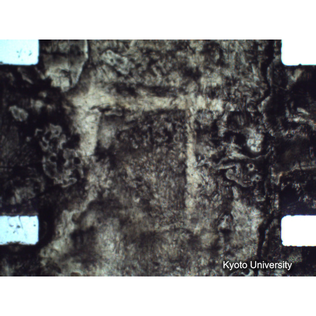 [ 1-1] 矢代日吉神社田楽（第一回）. [静止画像群4, 219～570枚目.] (281)