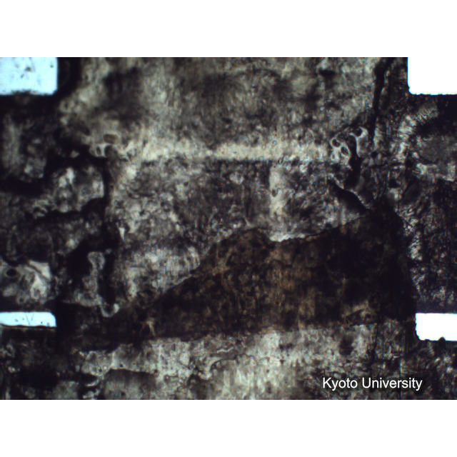 [ 1-1] 矢代日吉神社田楽（第一回）. [静止画像群4, 219～570枚目.] (282)