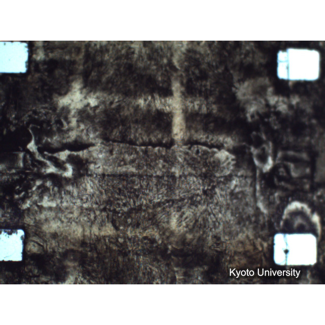 [ 1-1] 矢代日吉神社田楽（第一回）. [静止画像群4, 219～570枚目.] (287)