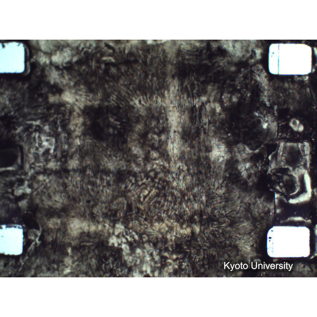 [ 1-1] 矢代日吉神社田楽（第一回）. [静止画像群4, 219～570枚目.] (289)