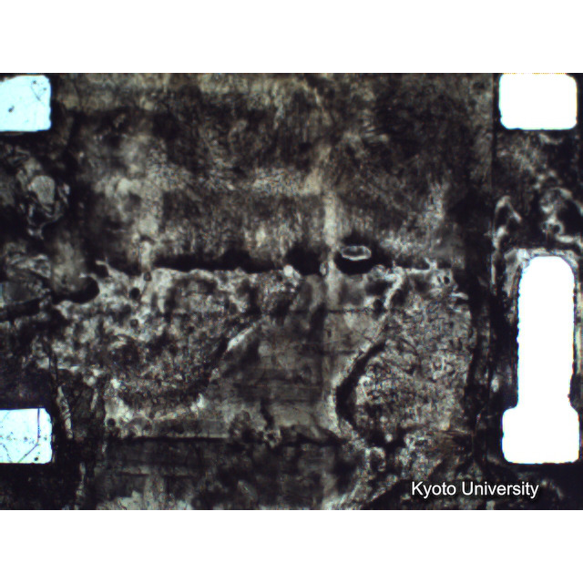 [ 1-1] 矢代日吉神社田楽（第一回）. [静止画像群4, 219～570枚目.] (292)