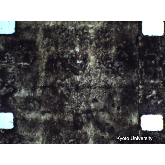 [ 1-1] 矢代日吉神社田楽（第一回）. [静止画像群4, 219～570枚目.] (297)