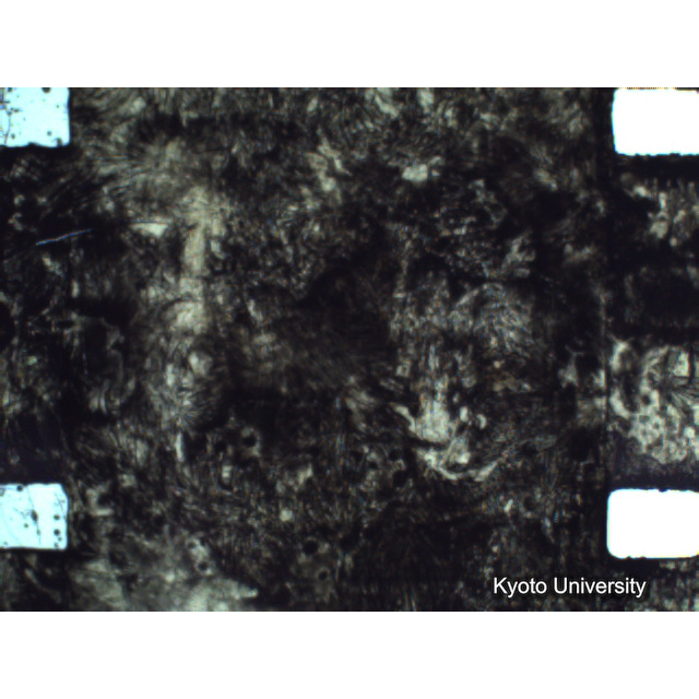 [ 1-1] 矢代日吉神社田楽（第一回）. [静止画像群4, 219～570枚目.] (318)