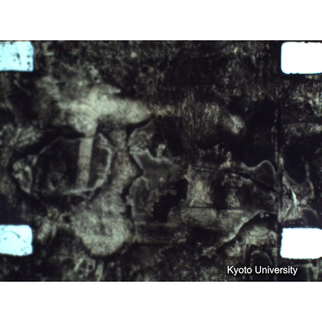 [ 1-1] 矢代日吉神社田楽（第一回）. [静止画像群4, 219～570枚目.] (319)