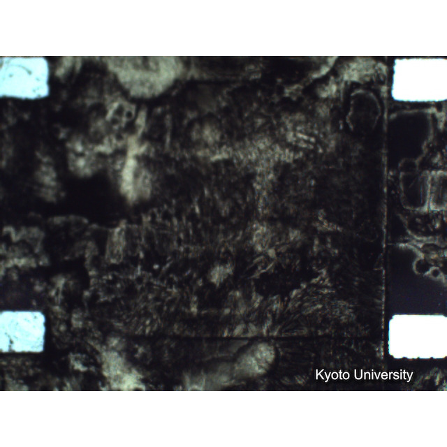 [ 1-1] 矢代日吉神社田楽（第一回）. [静止画像群4, 219～570枚目.] (320)