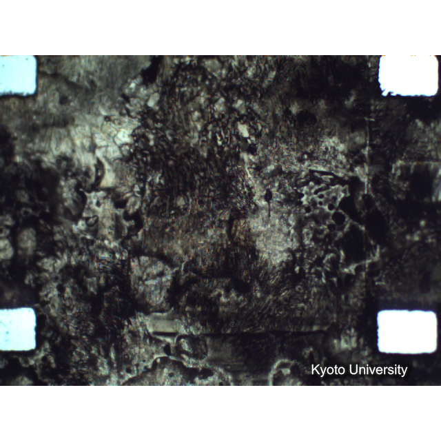 [ 1-1] 矢代日吉神社田楽（第一回）. [静止画像群4, 219～570枚目.] (324)