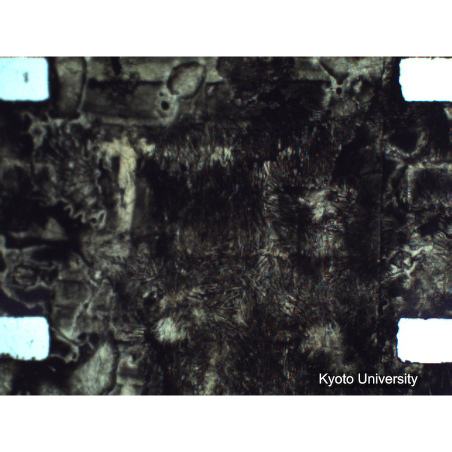 [ 1-1] 矢代日吉神社田楽（第一回）. [静止画像群4, 219～570枚目.] (325)