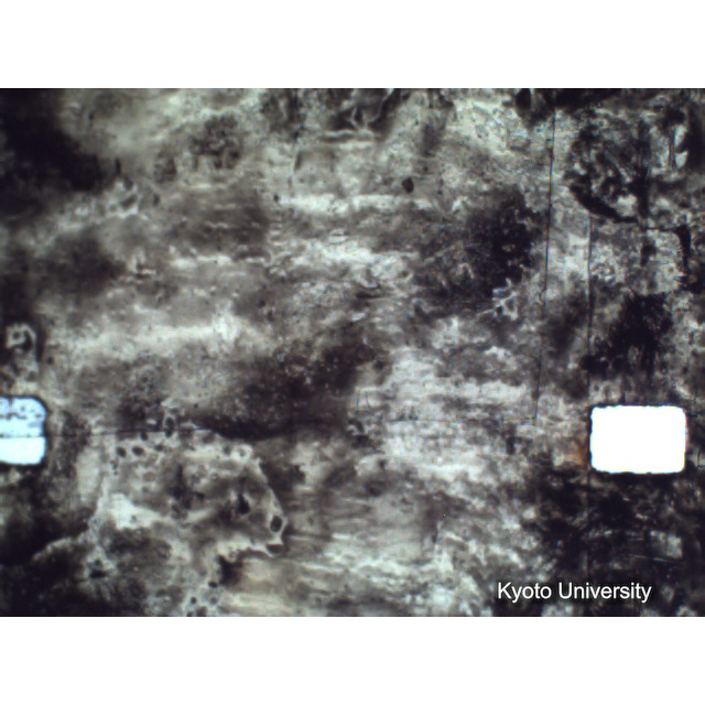 [ 1-1] 矢代日吉神社田楽（第一回）. [静止画像群4, 219～570枚目.] (330)