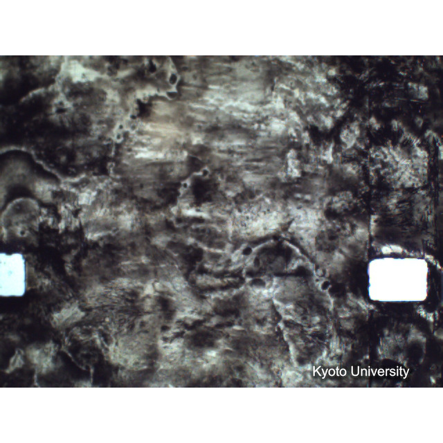 [ 1-1] 矢代日吉神社田楽（第一回）. [静止画像群4, 219～570枚目.] (331)