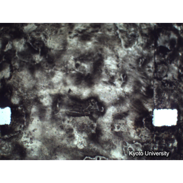 [ 1-1] 矢代日吉神社田楽（第一回）. [静止画像群4, 219～570枚目.] (332)