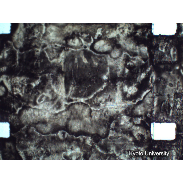 [ 1-1] 矢代日吉神社田楽（第一回）. [静止画像群4, 219～570枚目.] (334)