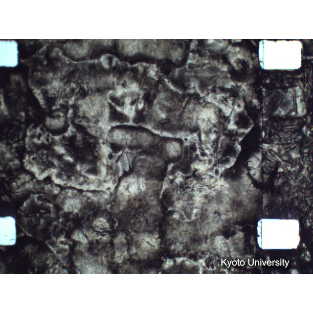 [ 1-1] 矢代日吉神社田楽（第一回）. [静止画像群4, 219～570枚目.] (335)