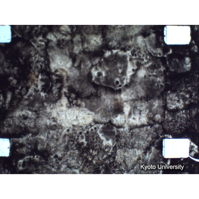 [ 1-1] 矢代日吉神社田楽（第一回）. [静止画像群4, 219～570枚目.] (336)