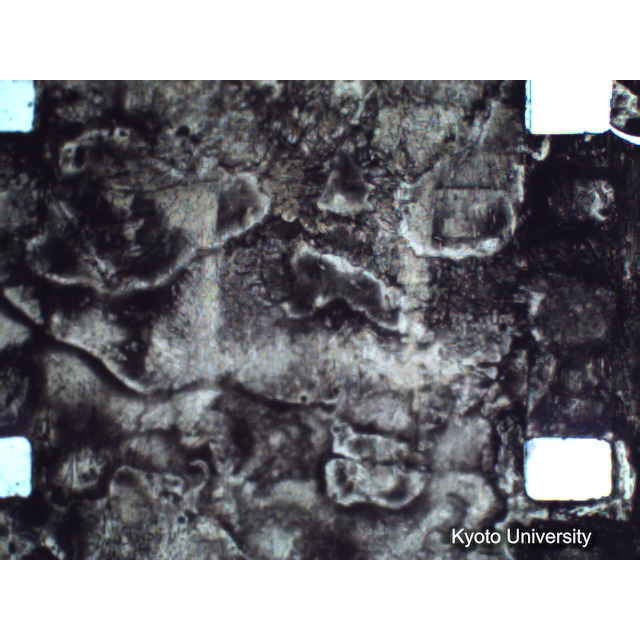 [ 1-1] 矢代日吉神社田楽（第一回）. [静止画像群4, 219～570枚目.] (337)