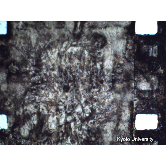 [ 1-1] 矢代日吉神社田楽（第一回）. [静止画像群4, 219～570枚目.] (339)