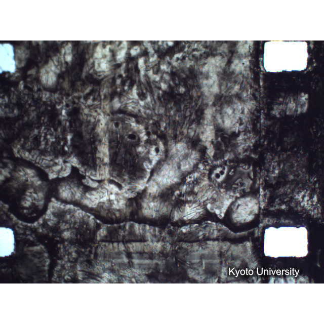 [ 1-1] 矢代日吉神社田楽（第一回）. [静止画像群4, 219～570枚目.] (340)