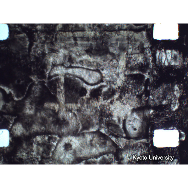 [ 1-1] 矢代日吉神社田楽（第一回）. [静止画像群4, 219～570枚目.] (341)