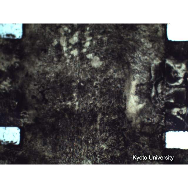 [ 1-1] 矢代日吉神社田楽（第一回）. [静止画像群5, 571～631枚目.] (37)