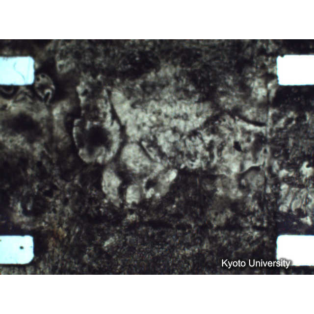 [ 1-1] 矢代日吉神社田楽（第一回）. [静止画像群5, 571～631枚目.] (43)