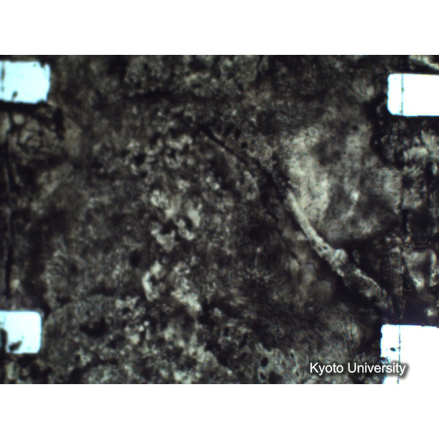 [ 1-1] 矢代日吉神社田楽（第一回）. [静止画像群5, 571～631枚目.] (51)