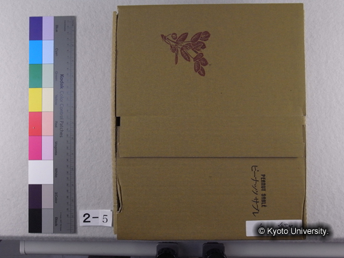 探検時の往復書簡（藤田家） (1)