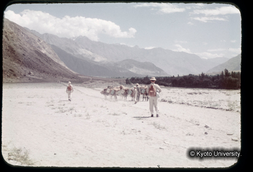 カラースライドF03_11 (1)