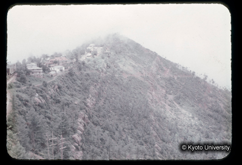 カラースライドF02_01 (1)