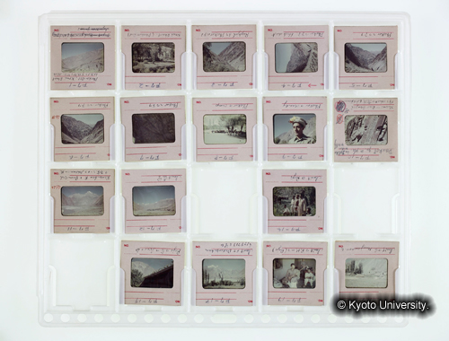 カラースライドシートNo.7 (1)