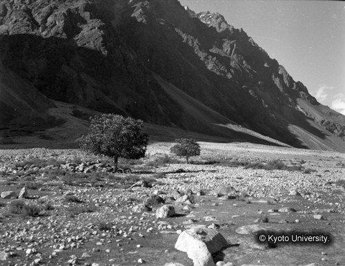 ヒンズークシ地域撮影フィルム : F-36-4 (1)