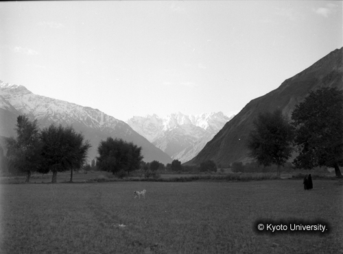 ヒンズークシ地域撮影フィルム : F-36-15 (1)