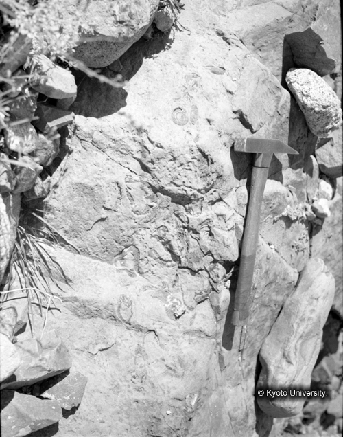 ヒンズークシ地域撮影フィルム : F-38-1 (1)