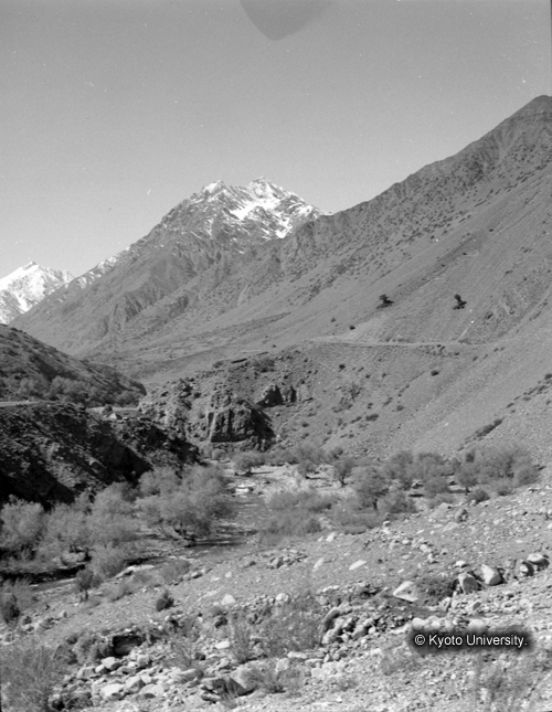 ヒンズークシ地域撮影フィルム : F-38-8 (1)
