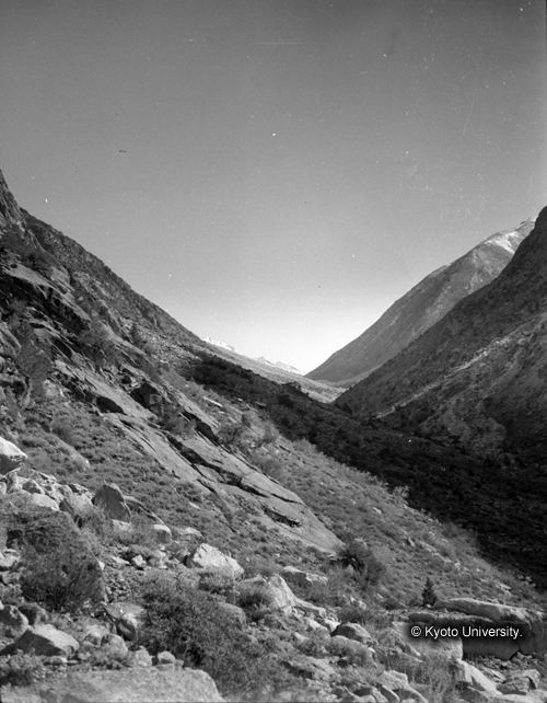 ヒンズークシ地域撮影フィルム : F-39-16 (1)