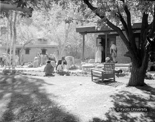 ヒンズークシ地域撮影フィルム : F-40-1 (1)