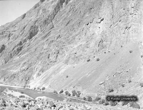 ヒンズークシ地域撮影フィルム : F-41-5 (1)