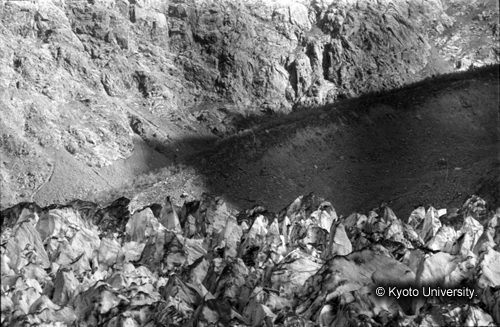 ヒンズークシ地域撮影フィルム : LF-6-17 (1)