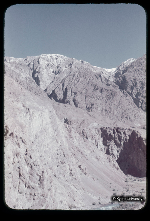 カラースライドF19_12 (1)