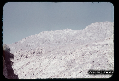 カラースライドF19_20 (1)