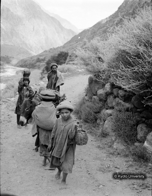 ヒンズークシ地域撮影フィルム : HF-4-14 (1)