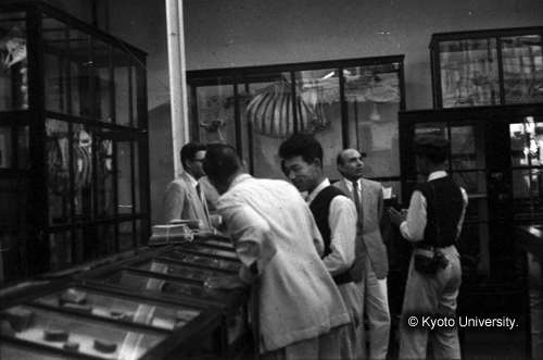 ヒンズークシ地域撮影フィルム : F-47-27 (1)