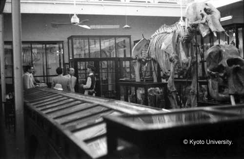 ヒンズークシ地域撮影フィルム : F-47-28 (1)