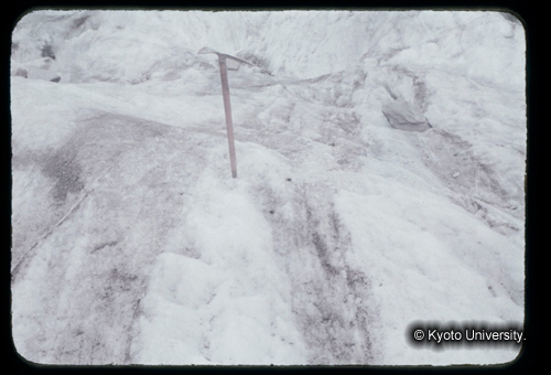 カラースライドF11_15 (1)