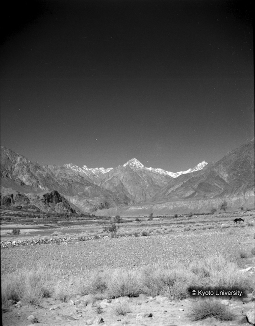 ヒンズークシ地域撮影フィルム : F-42-8 (1)