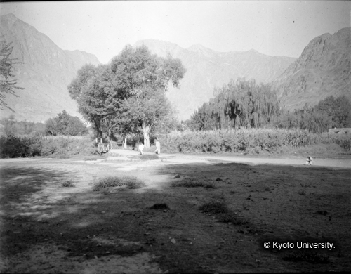 ヒンズークシ地域撮影フィルム : HF-1-15 (1)